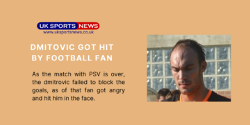 Dmitrovic got hit by football fan