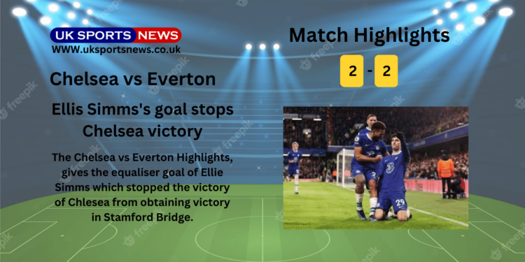 Chelsea vs Everton Highlights