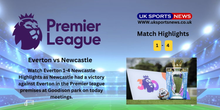 Everton 1-4 Newcastle Highlights