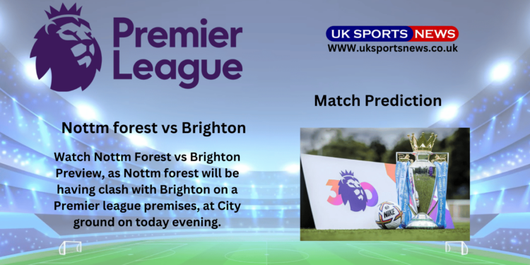 Nottm forest vs Brighton Preview