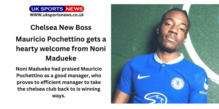 Mauricio Pochettino chelsea new boss